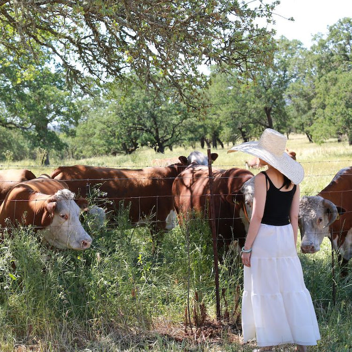 Visit to a Storied Land