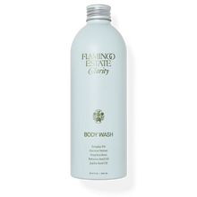 Load image into Gallery viewer, Clarity Body Wash | Peppermint &amp; Juniper Berry